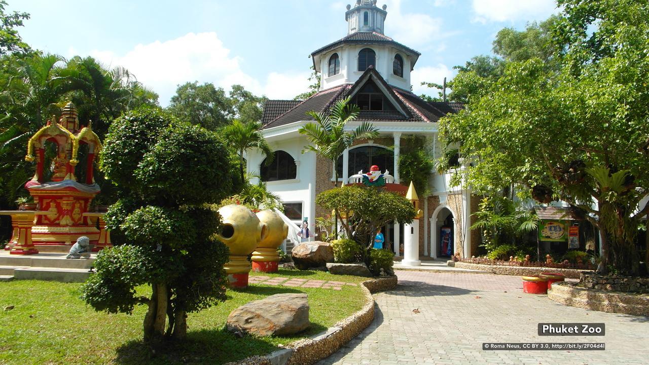 Zen Rooms Chaofa East Road Rawai Exteriör bild